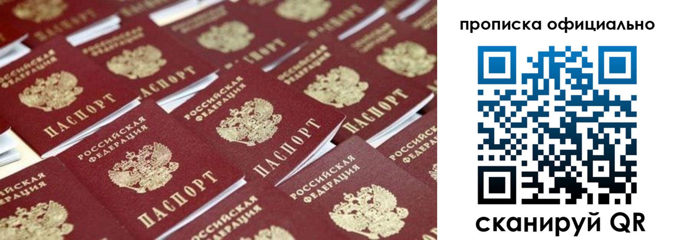 прописка гарантия в Пензенской области